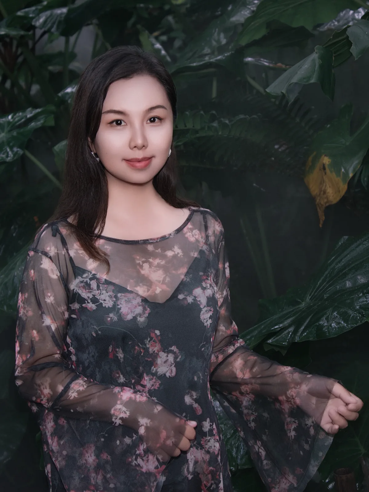 紫雲 Zi Yun